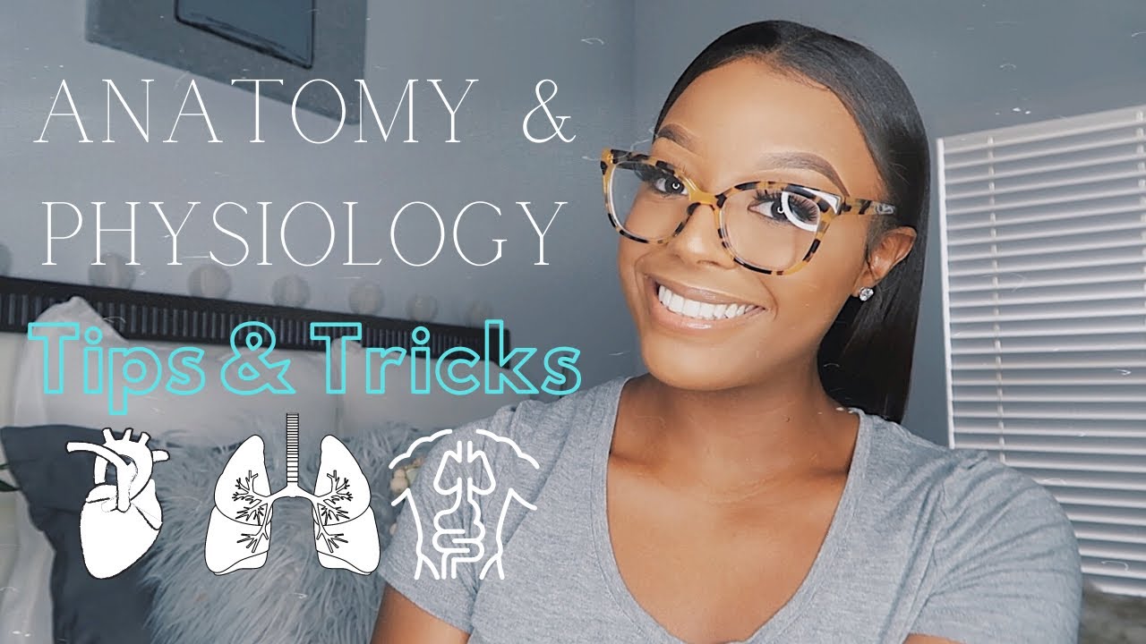 HOW TO GET AN A IN ANATOMY & PHYSIOLOGY ♡ | TIPS & TRICKS | PASS A&P WITH STRAIGHT A'S!