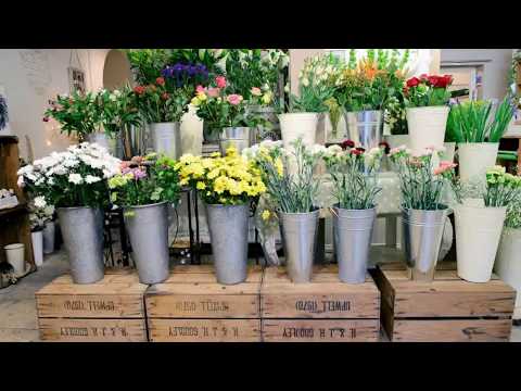 download lagu mp3 mp4 Helens Flowers, download lagu Helens Flowers gratis, unduh video klip Helens Flowers