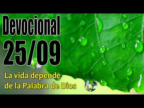 La vida depende de la Palabra de Dios. Devocional John Piper solid joys 25/09