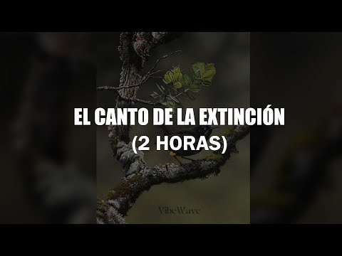 Apathy -Kauaʻi ʻōʻō  slowed (EL CANTO DE LA EXTINCIÓN)2 HORAS,  song