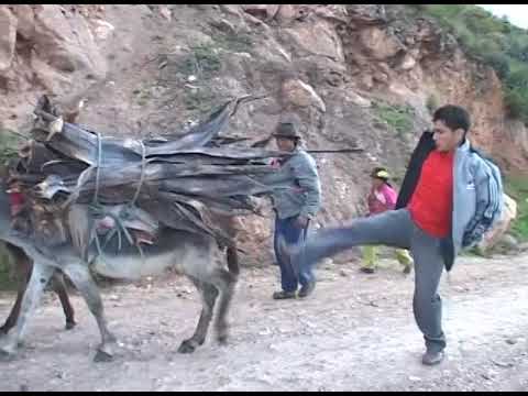 Victor Palomino   -  muchacho provinciano