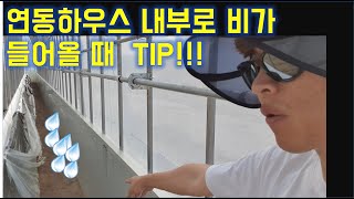 연동하우스 내부로 비가 들어올 때 TIP! / 귀농/청년창업농/ 스마트팜 / 귀농작물