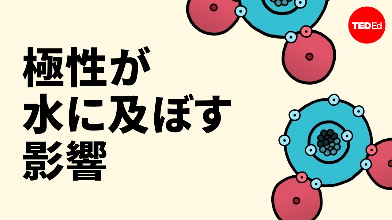 極性が水の特性に及ぼす影響 - クリスティーナ・クラインバーグ