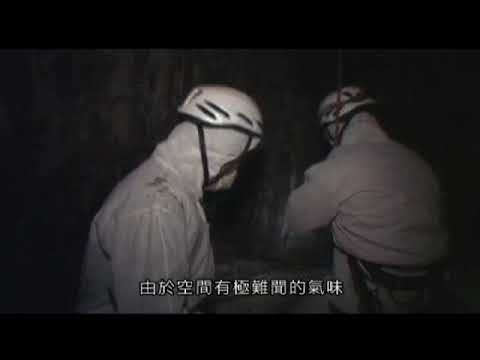 Odkrywanie Arki Noego Siedem pomieszczeń Arki