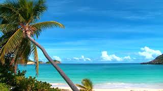 Okyanus sahil deniz sesi huzur.Nature Sounds Ocean Waves