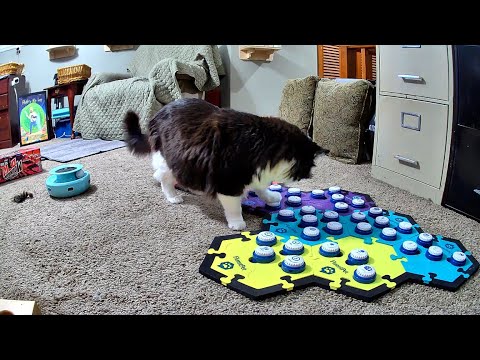 When Todd Gets Bossy, Lol