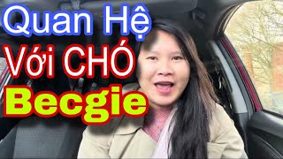 BỆNH HOẠN HẾT MỨC ❗️Em Nổi HỨNG LÀM Chuyện Ấy VỚI Con CHÓ BECGIE Cái Kết MUỐN KIỆT SỨC 😩Có Thật đó