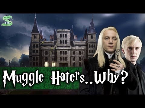 The Real Reason Why The Malfoys Hated Muggles and Muggleborns