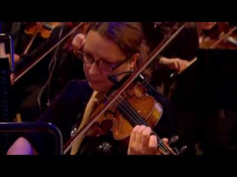 Jeff Lynne - Evil Woman (Live in Hyde Park)