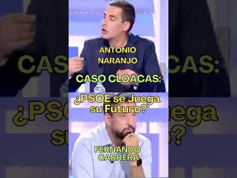 España: Caso Cloacas: PSOE se Juega su Futuro? Antonio Naranjo vs Fernando Carrera #shorts #españa