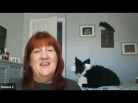 Meet the Professionals: Veterinary Technician