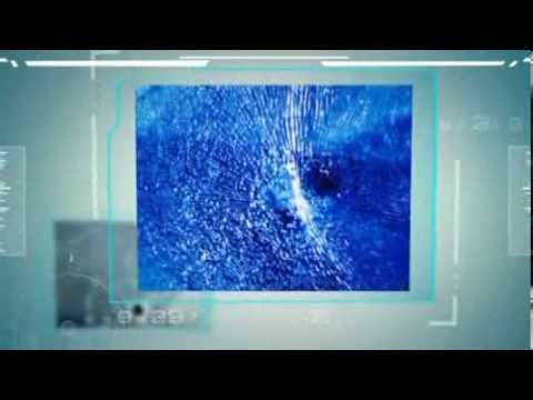 Checkpoint Auto LLC - (803) 262-0507