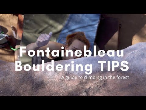 Bouldering in Fontainebleau | what you need to know