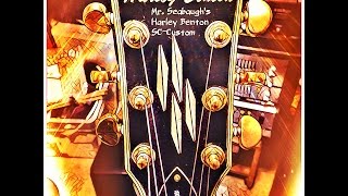 Video thumbnail for The Harley Benton SC-Custom VB (A Great Gibson Les Paul Copy On A Budget) by Still Livin' the Blues