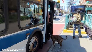 MTA New York City Bus: The B69 Bus Near Grand Army Plaza (2022).