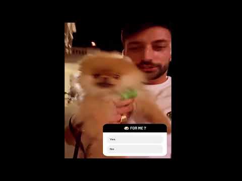 Lauren Oakley, 𝐆𝐢𝐨𝐯𝐚𝐧𝐧𝐢 𝐏𝐞𝐫𝐧𝐢𝐜𝐞 and Janette Manrara 19/7/2022