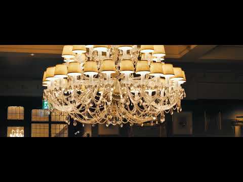 Welcome to Hibou Blanc Restaurant & Bar