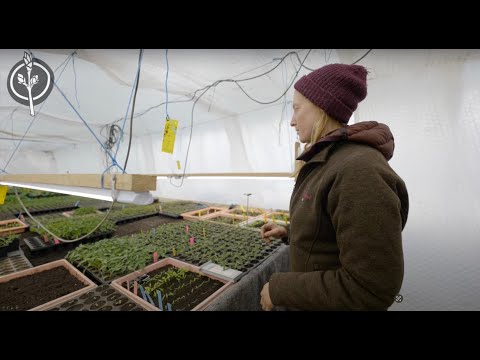 Die Zukunftsbauern - Einblicke in die Jungpflanzenanzucht Anfang April