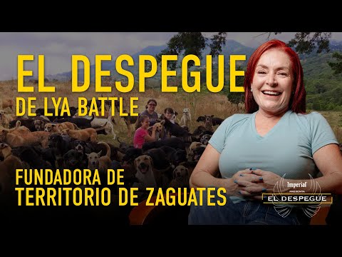 El refugio de perros más grande del mundo "Territorio Zaguate" | El Despegue de Lya Battle
