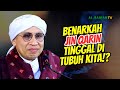 Apakah Jin Qarin Tinggal Di Tubuh Manusia Buya Yahya