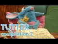 Tutter Compilation 2 Bear In The Big Blue House
