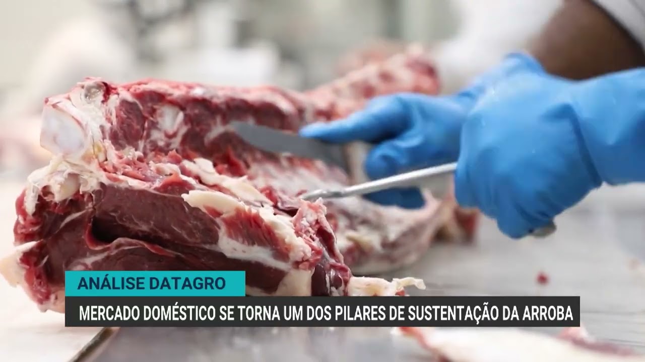 Arroba chega a R$ 348 em São Paulo com mercado doméstico sustentando preços