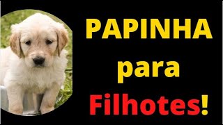 How to Make Baby Food for Puppies and How Much to Give