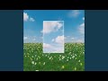 Mirror Sped Up