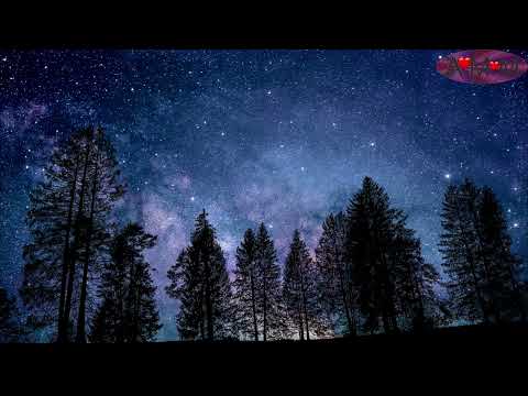 Grillen in einer Sommernacht - Entspannende Geräusche der Natur.