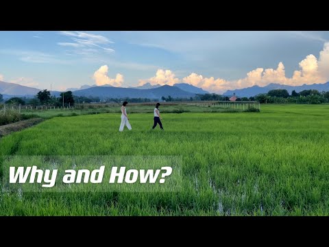 Why and How I started my farm in Thailand｜采访：为什么在泰国建农场
