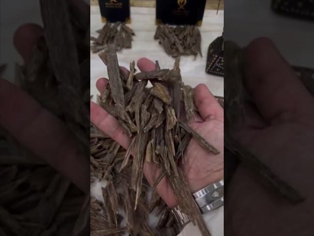 عود ميني نجلاند سوبر و سوبر مرتفع فاخر