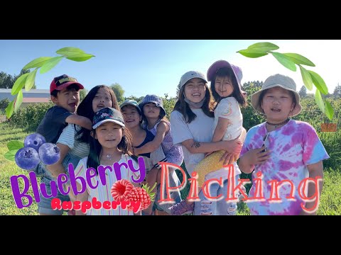 Berry Picking 2021 @ Emma Lea Farms