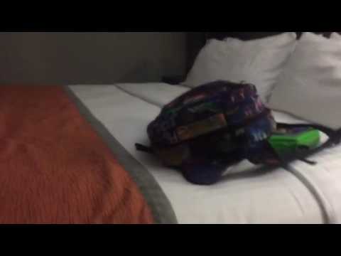 Hotel Room Tour: Holiday Inn Express & Suites Nashville, TN