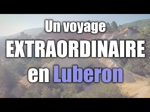 Video vignette