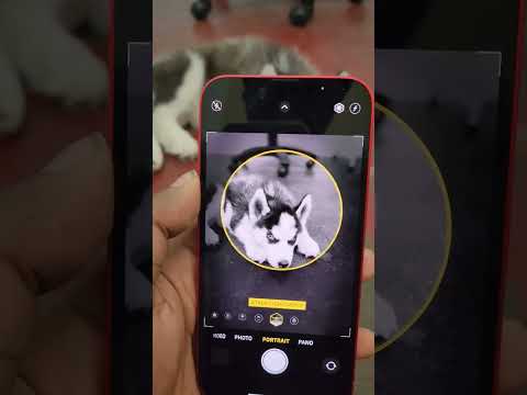 Cómo usar los efectos de iluminación en iOS 13, incluyendo el nuevo High-Key Mono