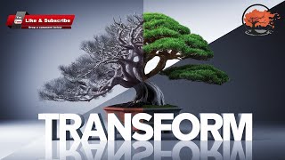 Transforming a Japanese Yew into a Masterpiece Bonsai