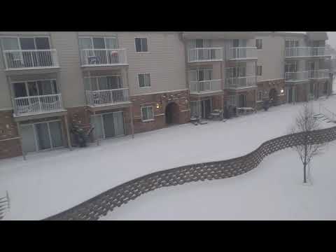8:40 a.m. 12/29/2020 Snowing in The Heartland