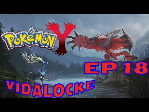 Pokémon Y VIDALOCKE Ep. 18 EL EQUIPO MÁS SÓLIDO QUE HE TENIDO NUNCA