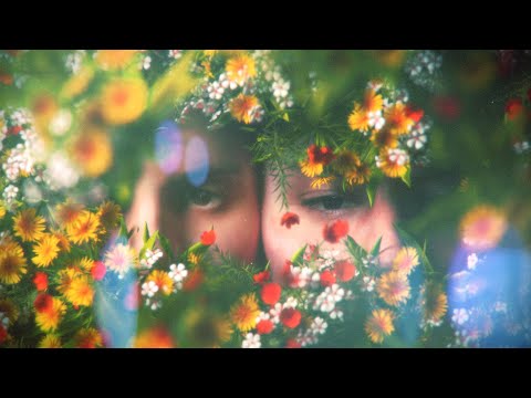 The Front Bottoms: everyone blooms (Official Video)