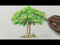 Tree - Drawing A Tree With Simple Colored Pencils |