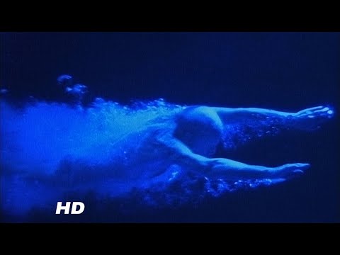 Still Life - Suede