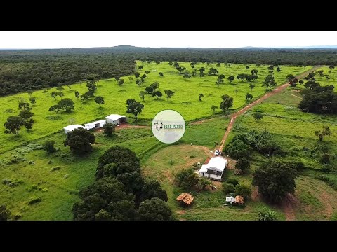 FAZENDA A VENDA EM ARINOS-MG - 247 HECTARES