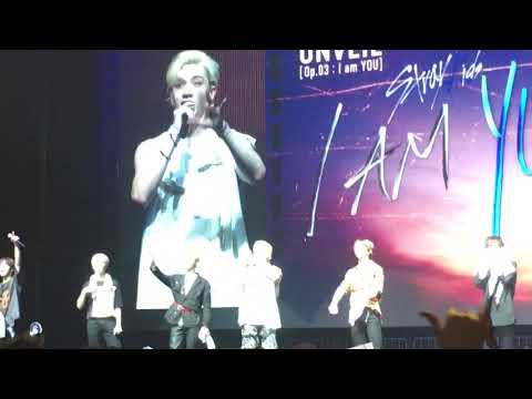 Stray Kids in Houston 190519 Present to STAY