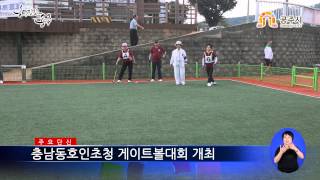 충남 동호인초청 게이트볼대회 개최 이미지