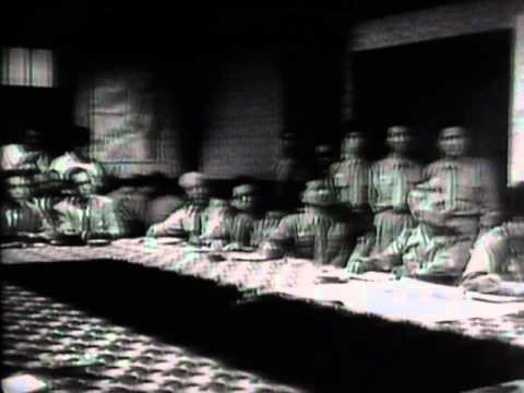 afbeelding Gojira - Trailer