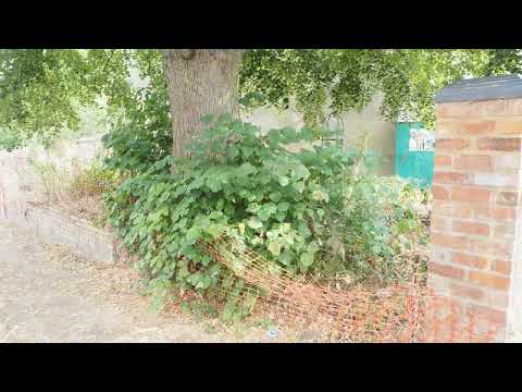 CV5 area of Coventry a walk round.