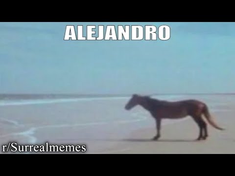 R Surrealmemes Alejandro