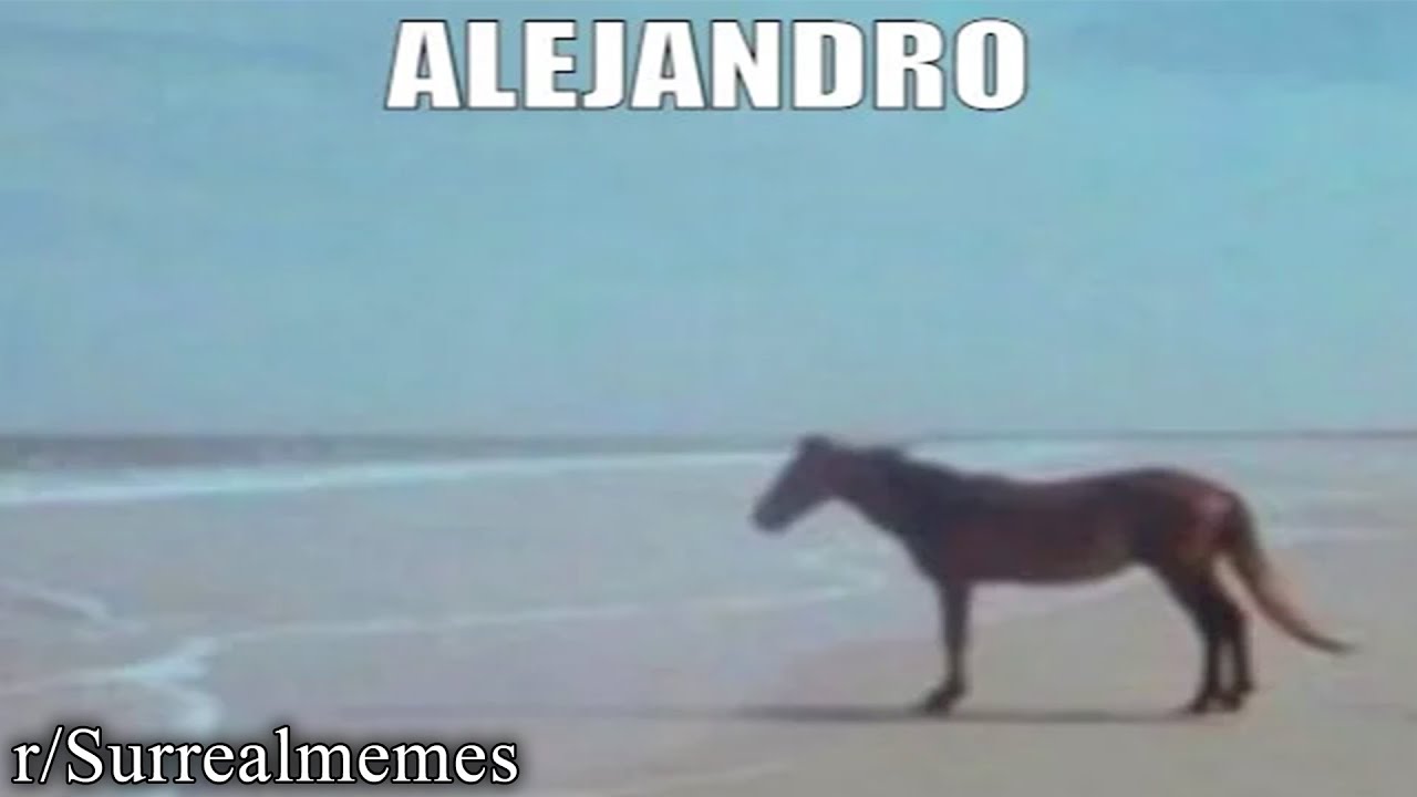 r/Surrealmemes | ALEJANDRO?