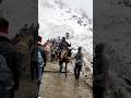 Kedarnath Yatra 2023 ️ Kedarnath Temple Opening Day Youtubeshorts Kedarnath Shorts Snowfall