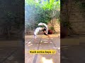 Kuch Notice Keya Bhabhi Insta Hot Bhabhi Instagram Viral Reels Insta Hot Girls Shorts